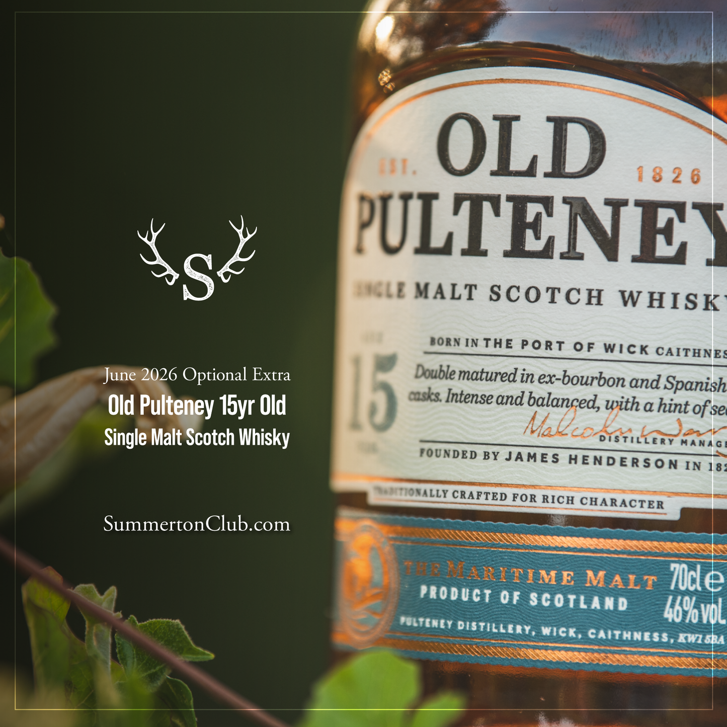 Old Pulteney 15 Year Old Single Malt