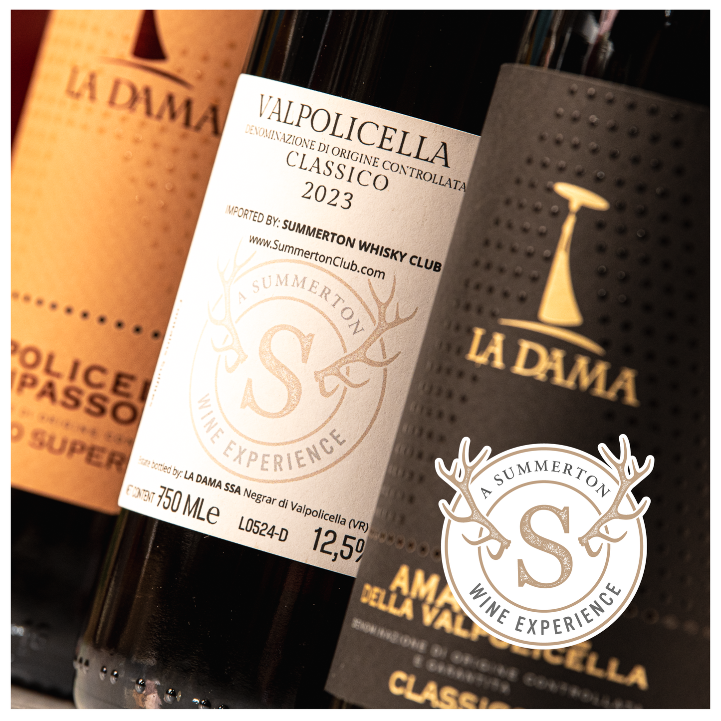 Summerton Wine Experience - A taste of Valpolicella