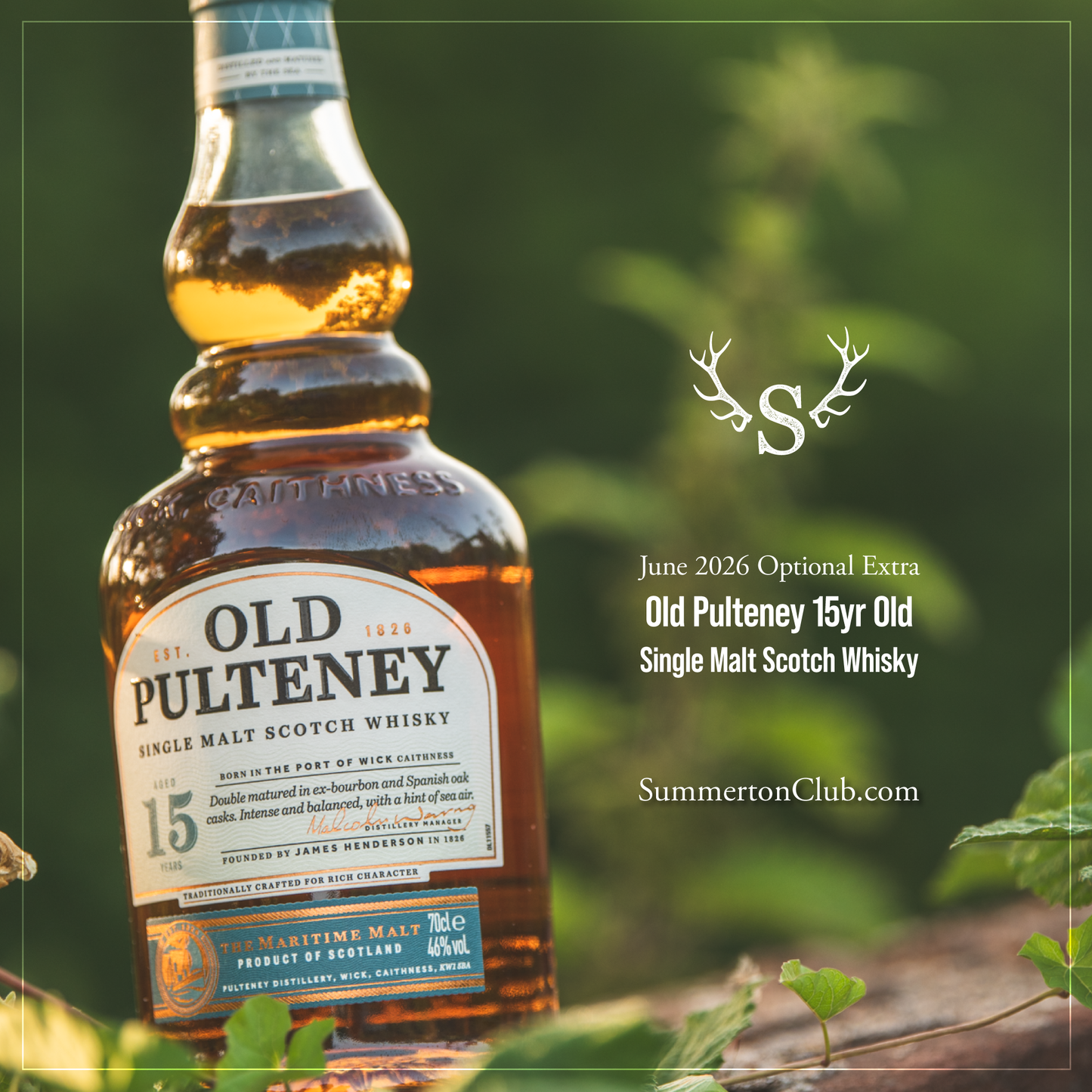 Old Pulteney 15 Year Old Single Malt