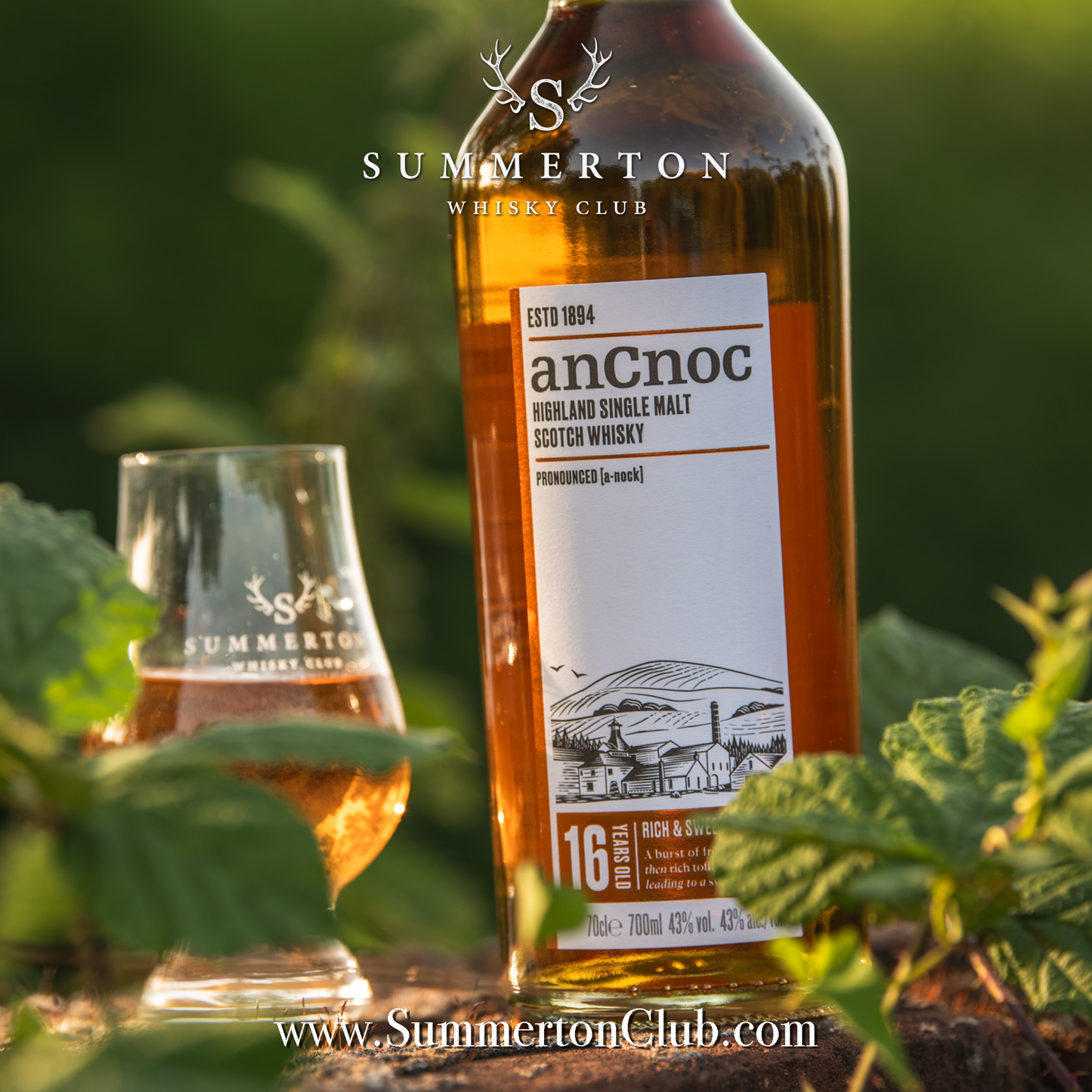 anCnoc 16 Year Old Highland Single Malt