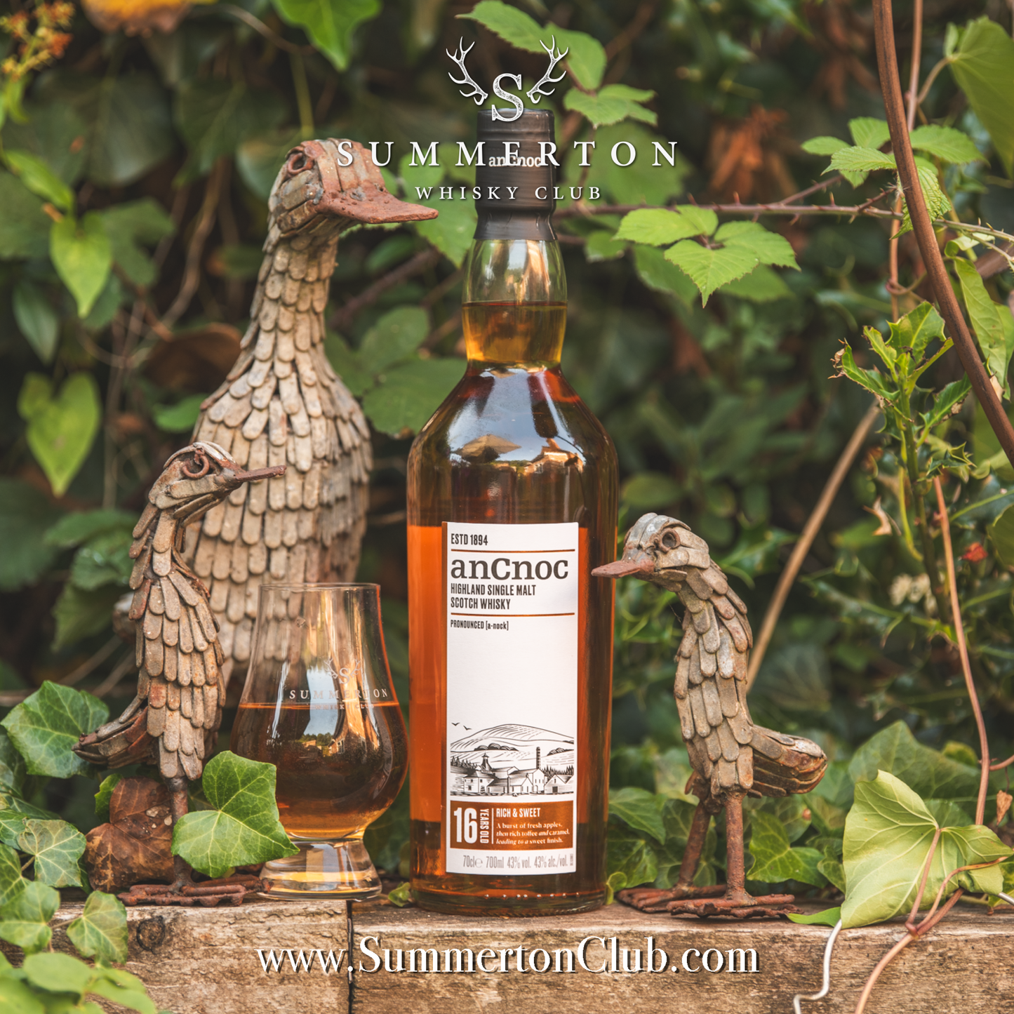 anCnoc 16 Year Old Highland Single Malt